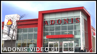 ADONIS-VIDEO-01